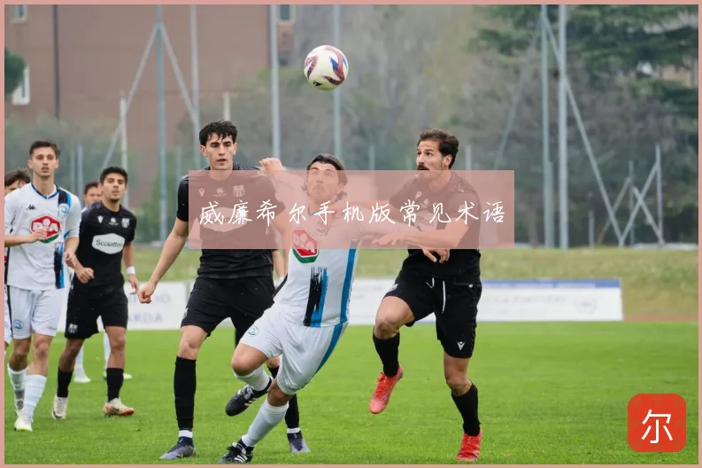 威廉希尔手机版常见术语